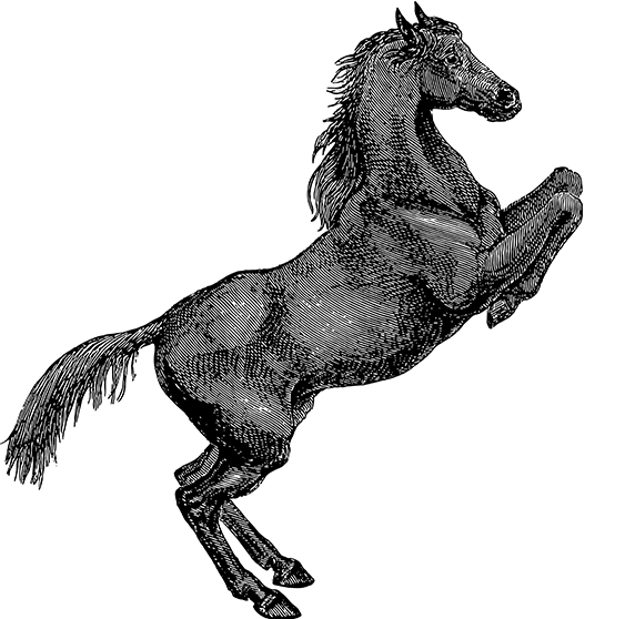 AYX热门赛程