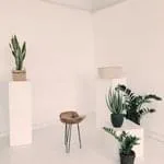 AYX热门赛程